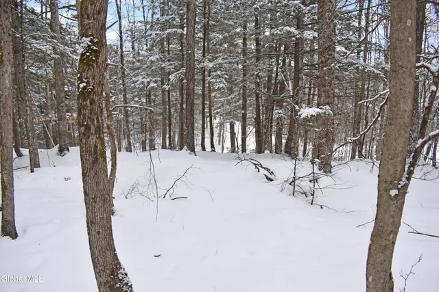 $39,000 | 37 Carriage Knolls Road, Chester, NY 12817