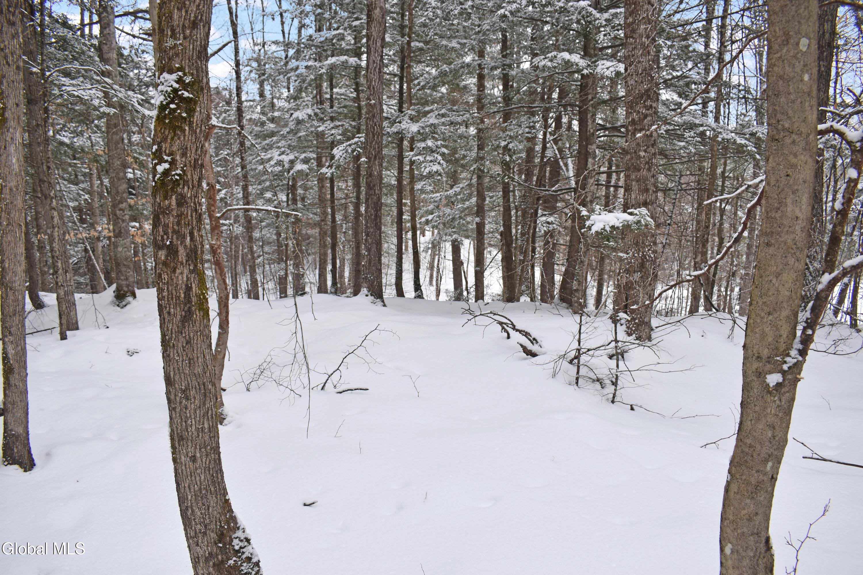 37 Carriage Knolls Road Chester, NY 12817 - Photo 20 of 25 DSC_0372