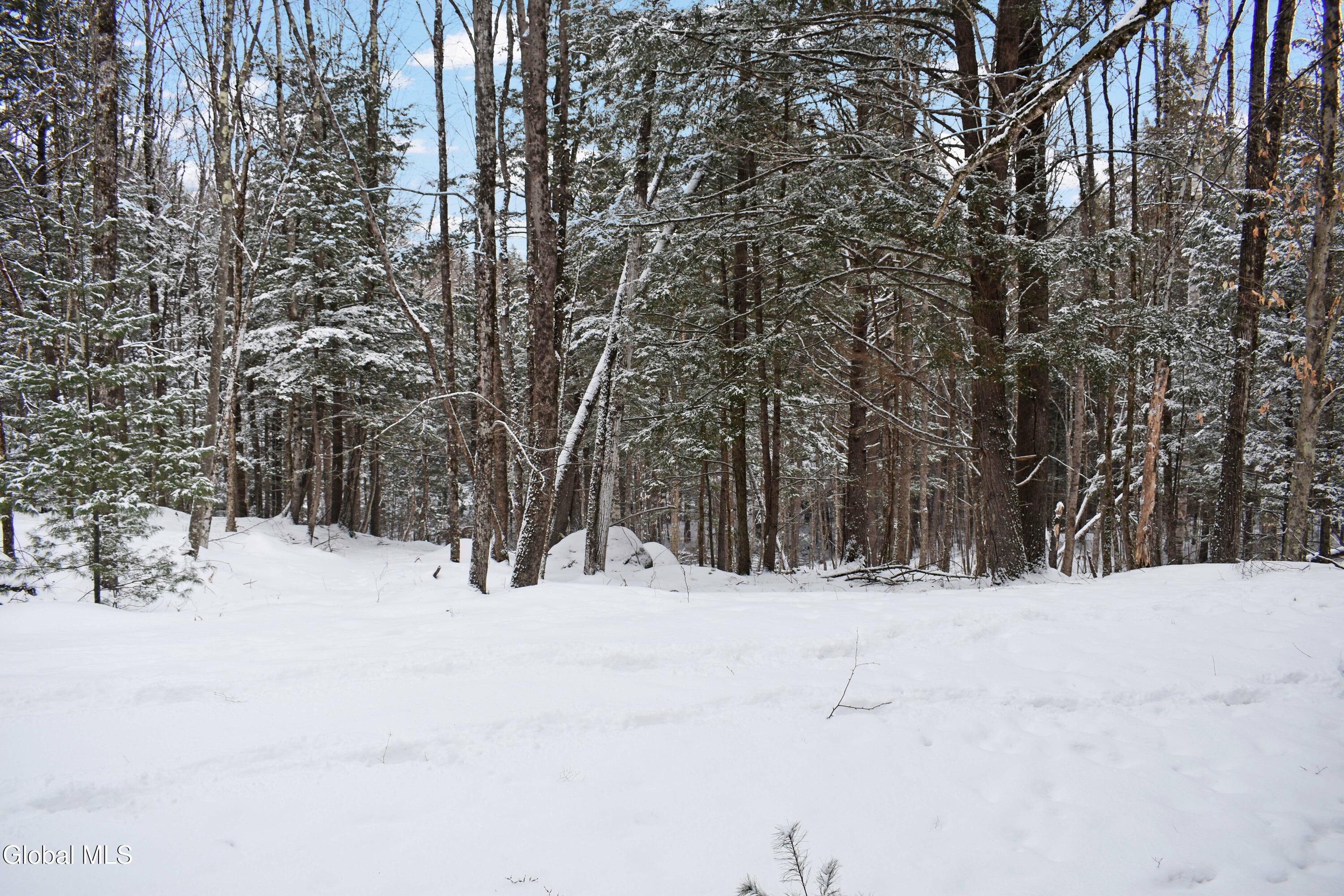 37 Carriage Knolls Road Chester, NY 12817 - Photo 21 of 25 DSC_0373