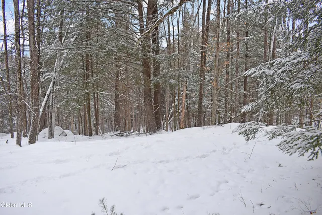 $39,000 | 37 Carriage Knolls Road, Chester, NY 12817