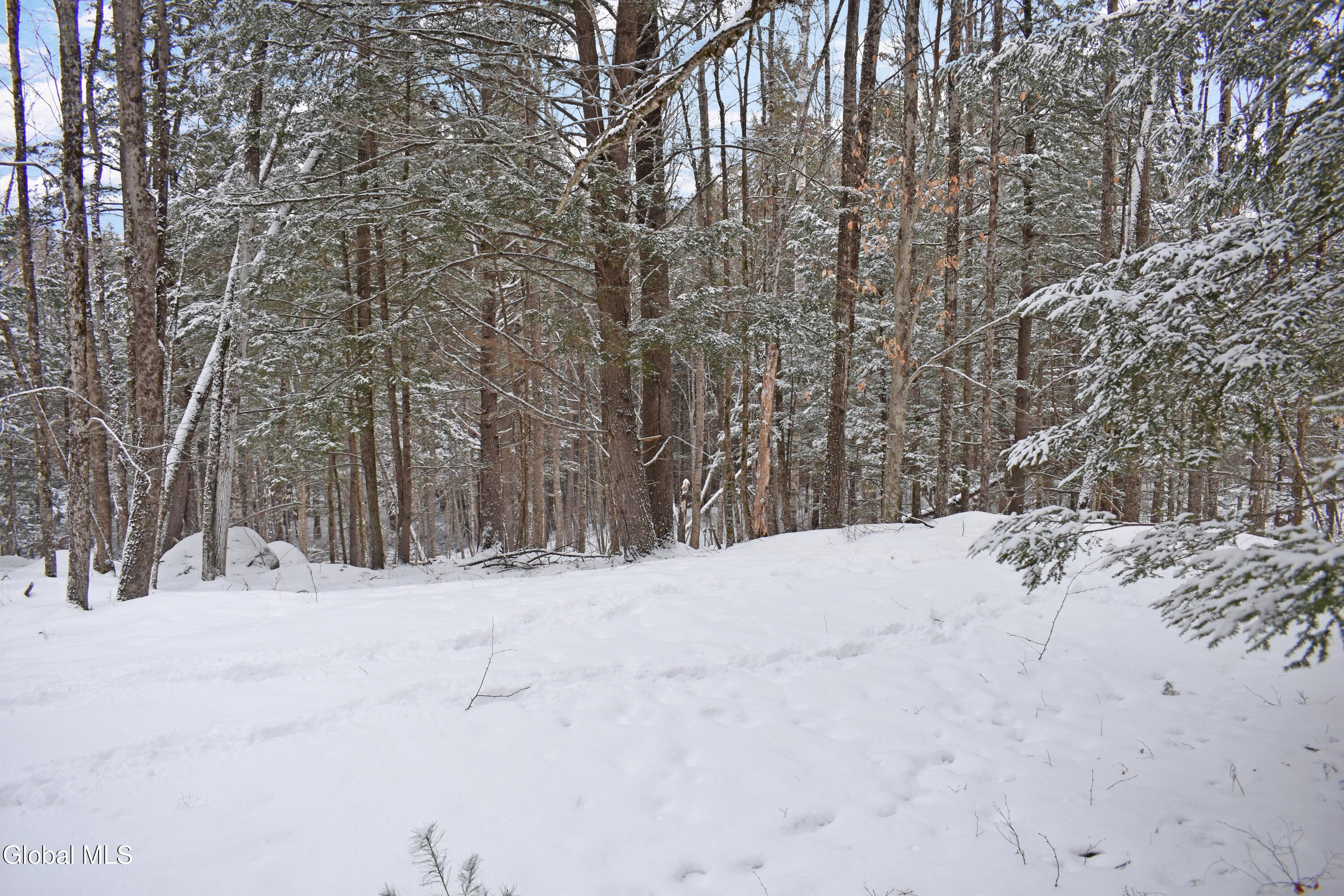37 Carriage Knolls Road Chester, NY 12817 - Photo 22 of 25 DSC_0374