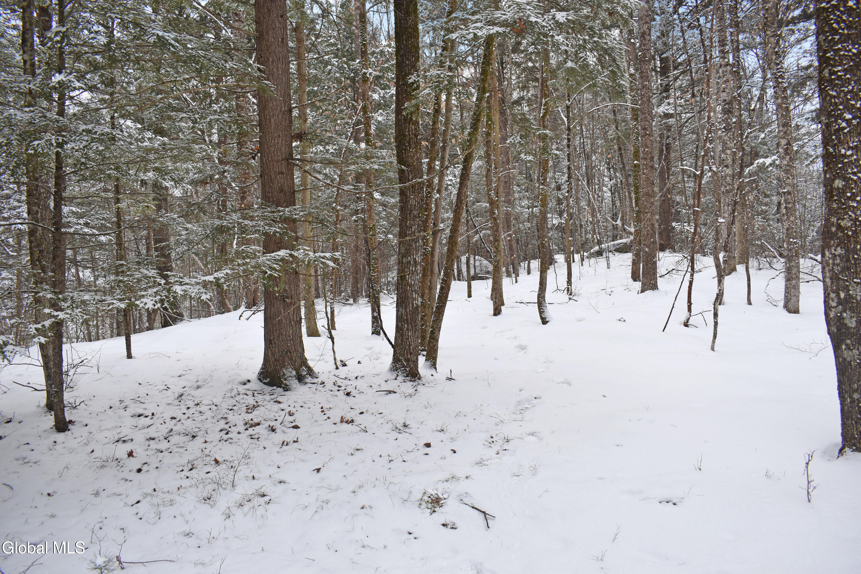 37 Carriage Knolls Road Chester, NY 12817 - Photo 23 of 25 DSC_0376