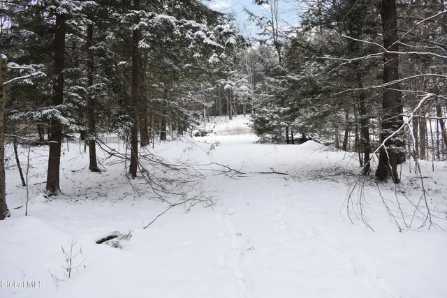 $39,000 | 37 Carriage Knolls Road, Chester, NY 12817