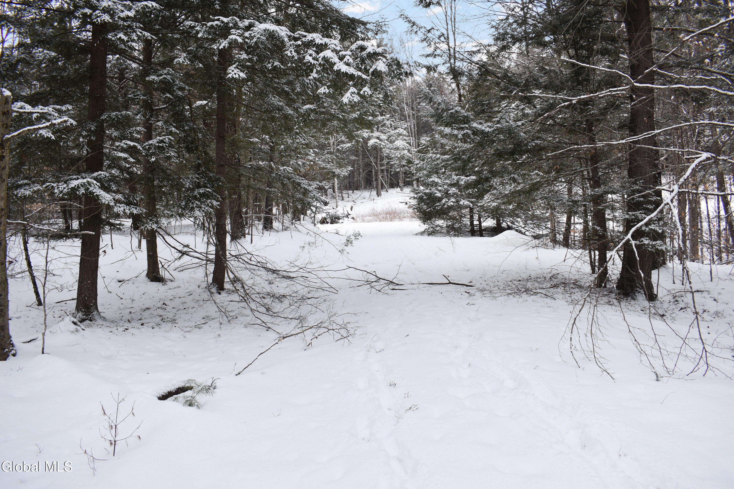 37 Carriage Knolls Road Chester, NY 12817 - Photo 3 of 25 DSC_0375