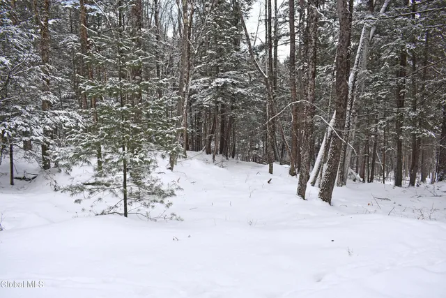 $39,000 | 37 Carriage Knolls Road, Chester, NY 12817