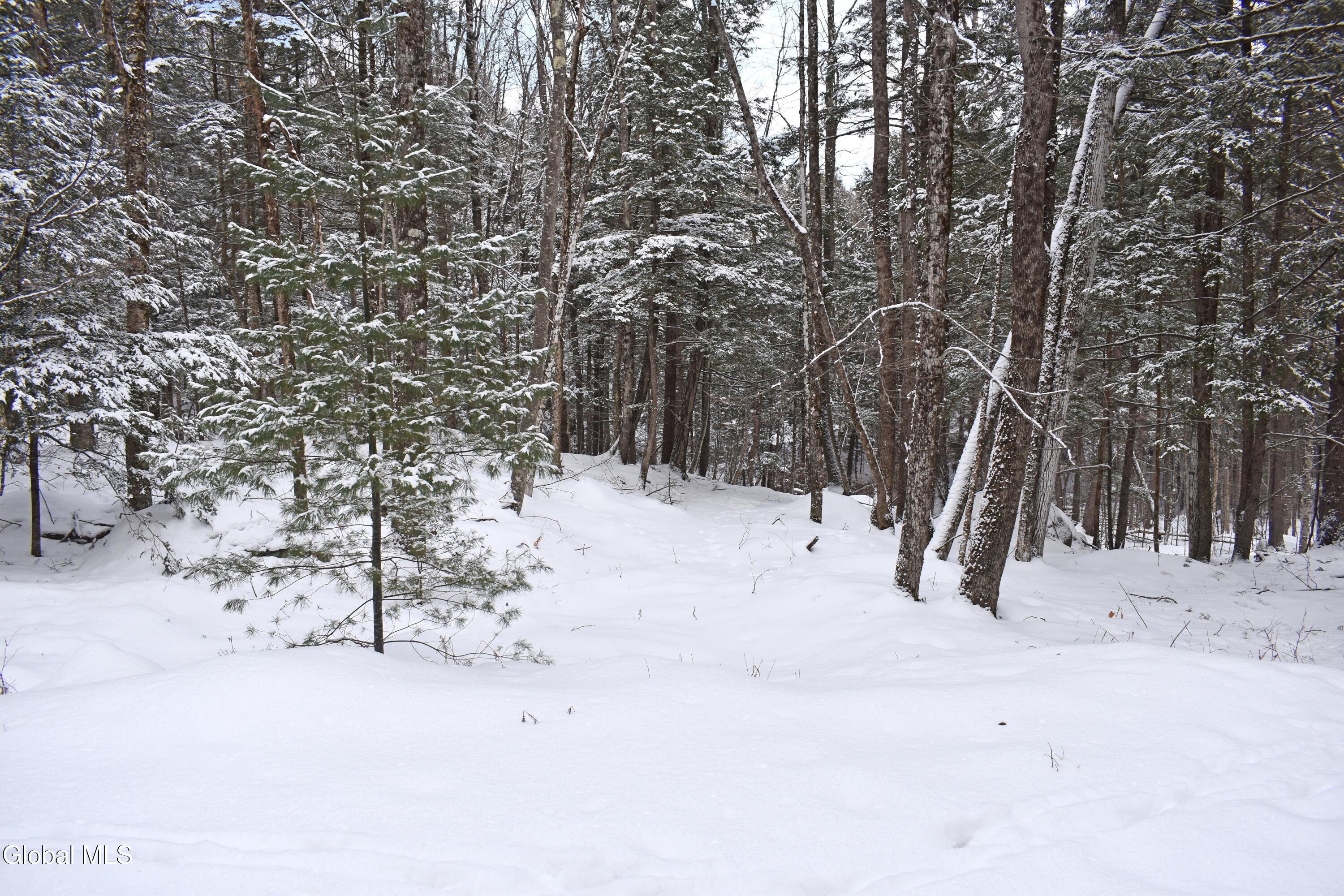 37 Carriage Knolls Road Chester, NY 12817 - Photo 4 of 25 DSC_0377