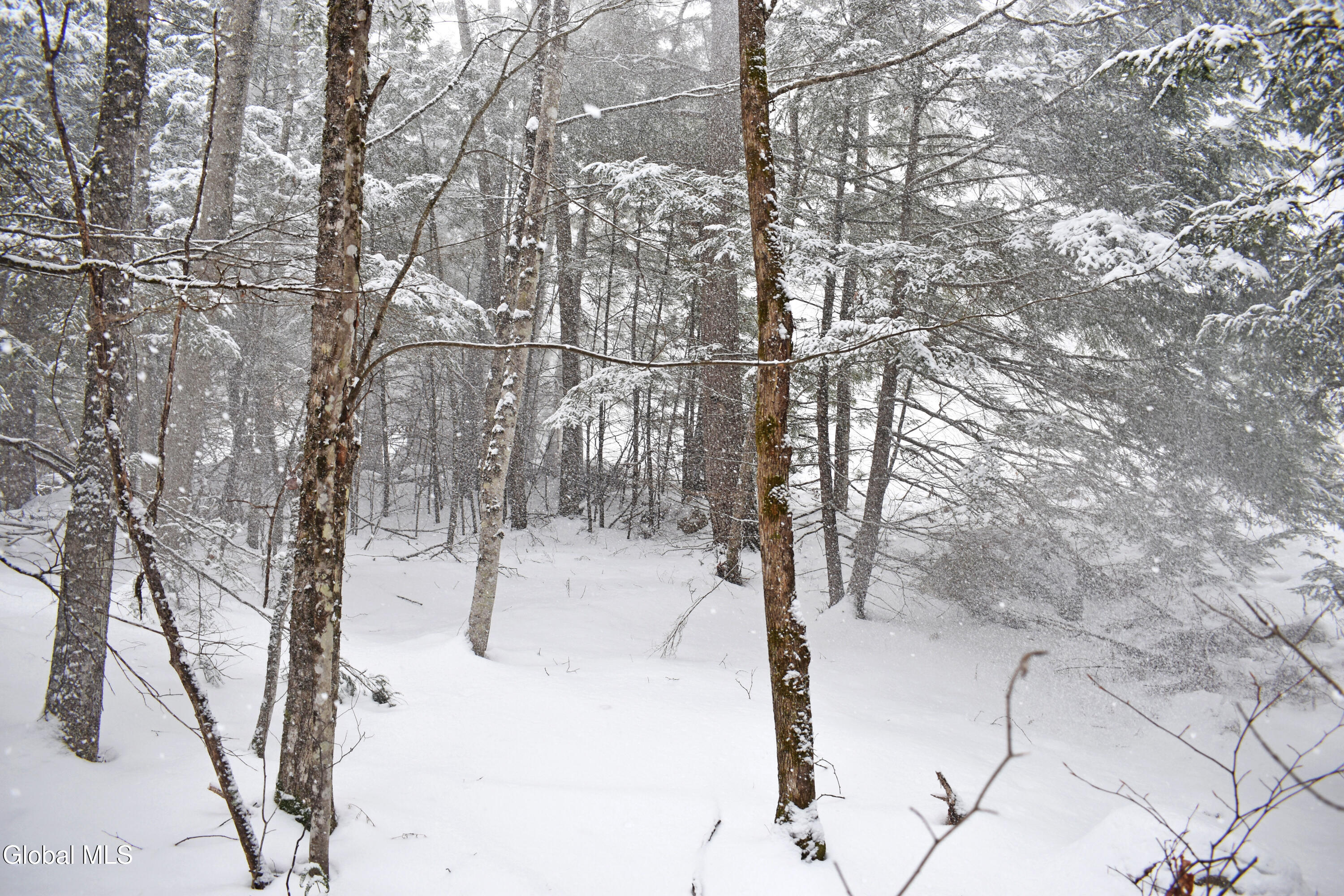 37 Carriage Knolls Road Chester, NY 12817 - Photo 5 of 25 DSC_0351