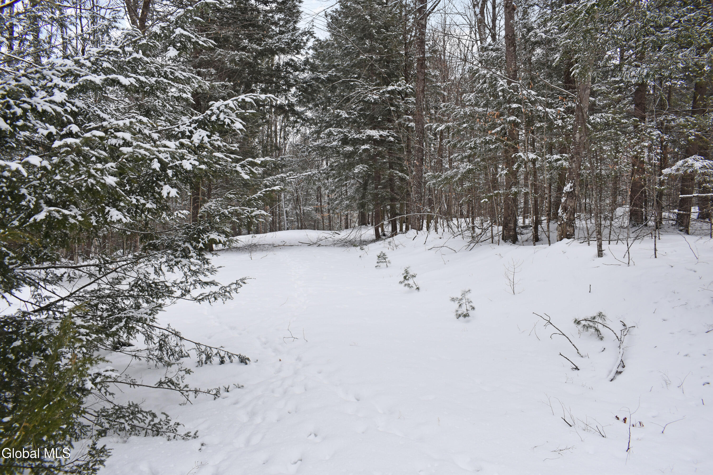 37 Carriage Knolls Road Chester, NY 12817 - Photo 6 of 25 DSC_0353