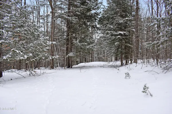 $39,000 | 37 Carriage Knolls Road, Chester, NY 12817