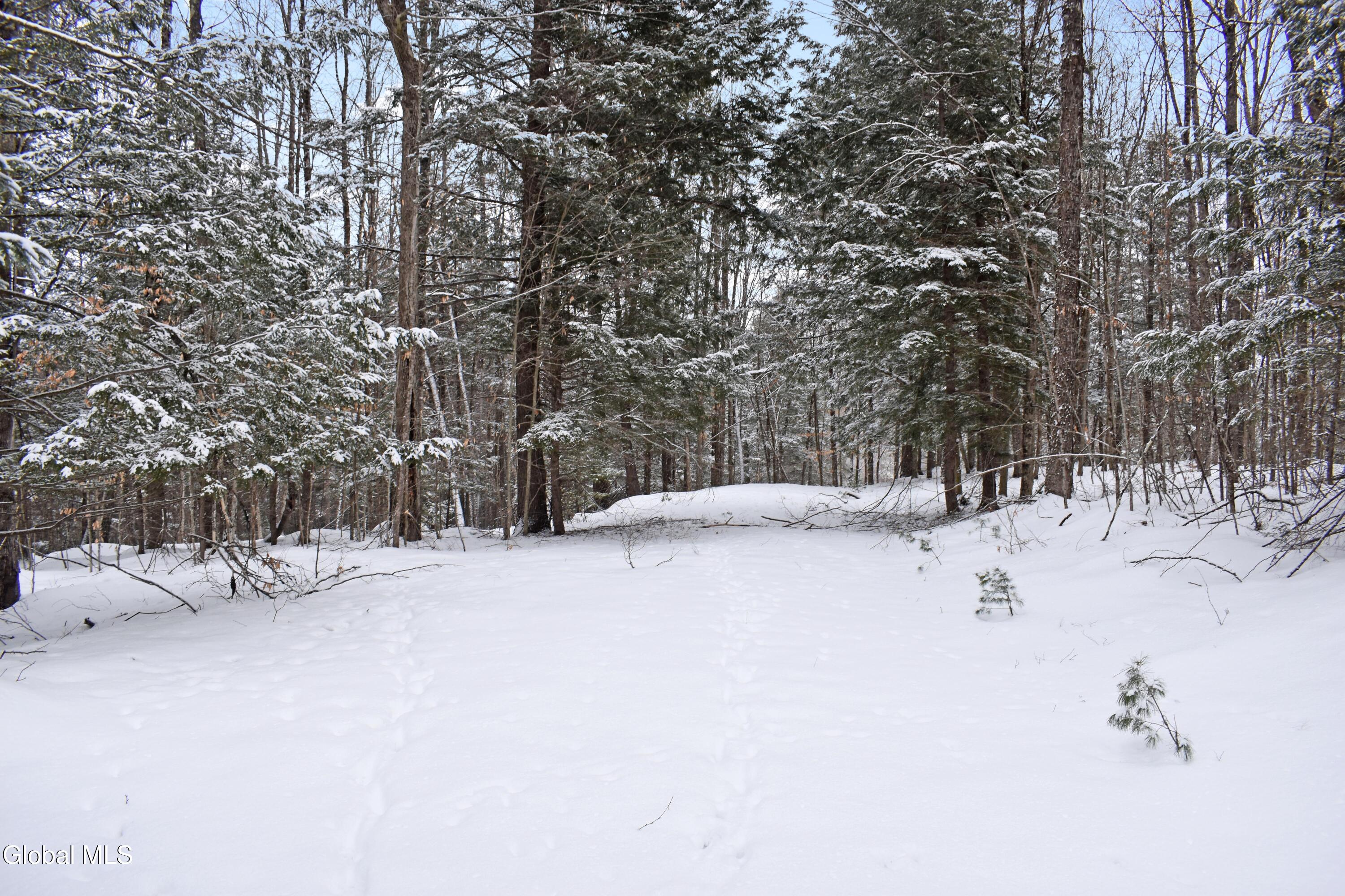 37 Carriage Knolls Road Chester, NY 12817 - Photo 7 of 25 DSC_0355