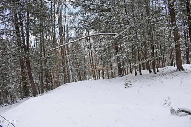 $39,000 | 37 Carriage Knolls Road, Chester, NY 12817