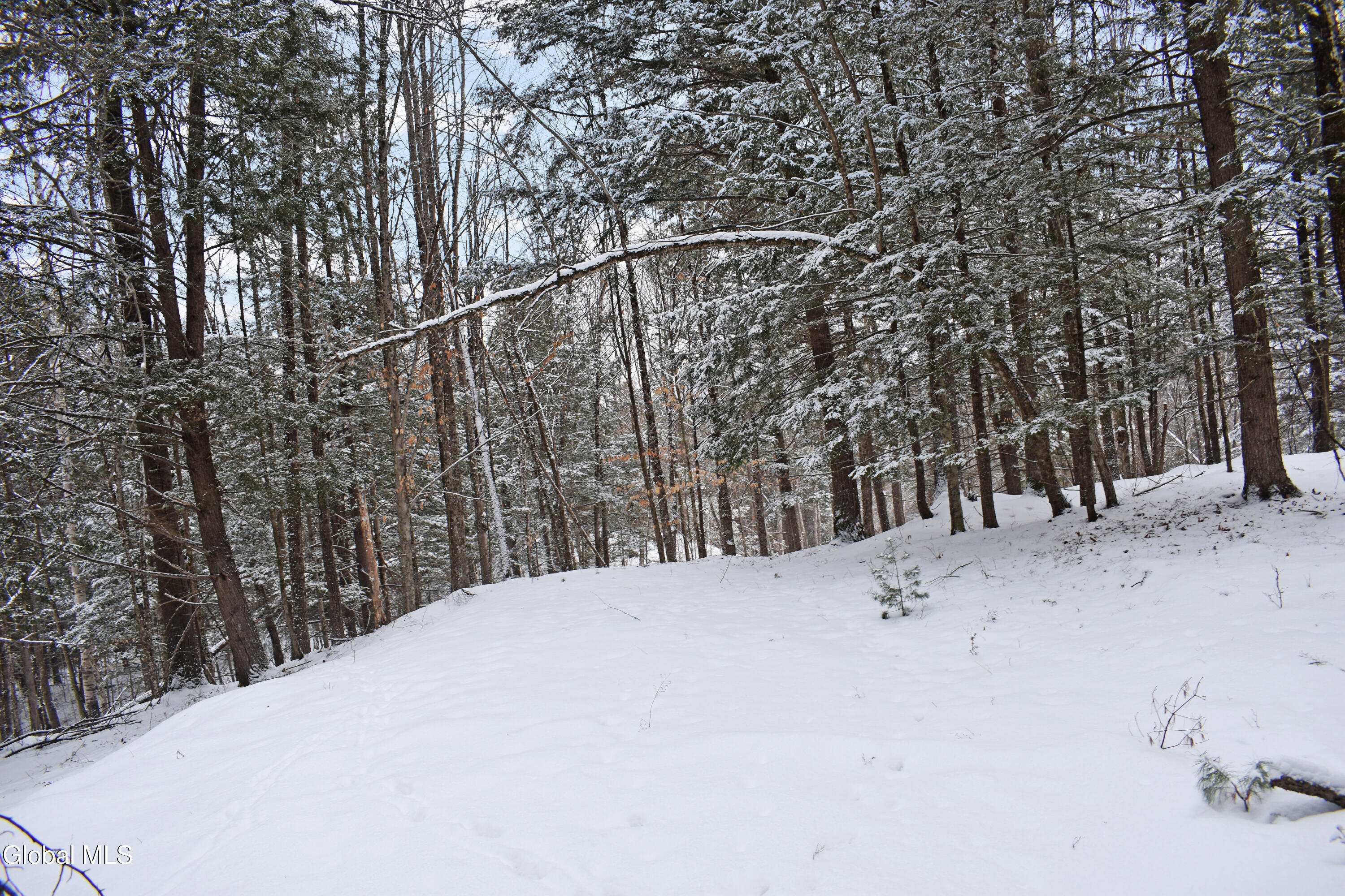 37 Carriage Knolls Road Chester, NY 12817 - Photo 8 of 25 DSC_0356