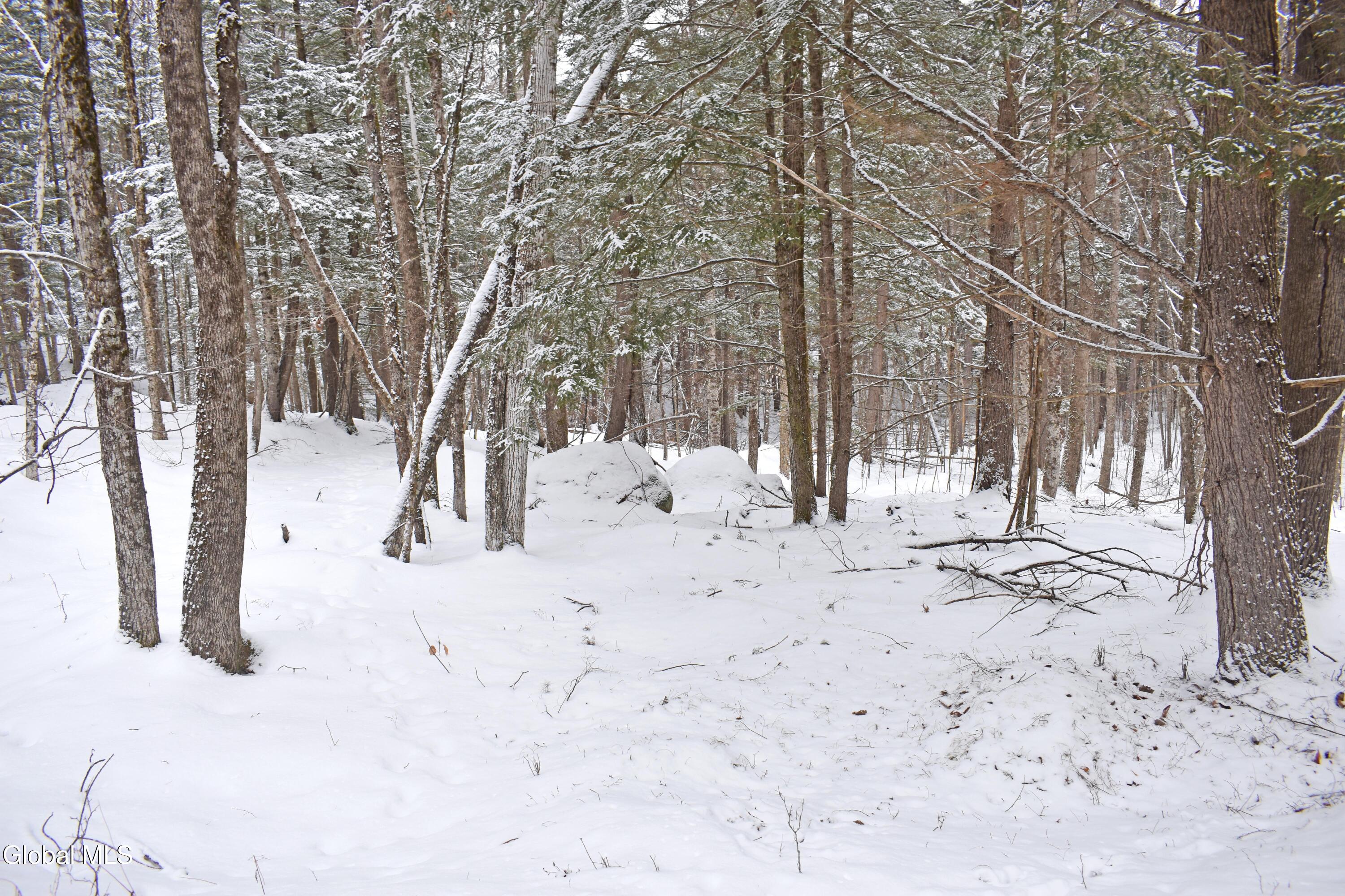 37 Carriage Knolls Road Chester, NY 12817 - Photo 9 of 25 DSC_0357