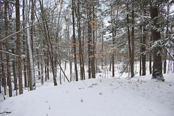 $39,000 | 37 Carriage Knolls Road, Chester, NY 12817