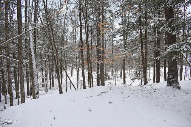 $39,000 | 37 Carriage Knolls Road, Chester, NY 12817