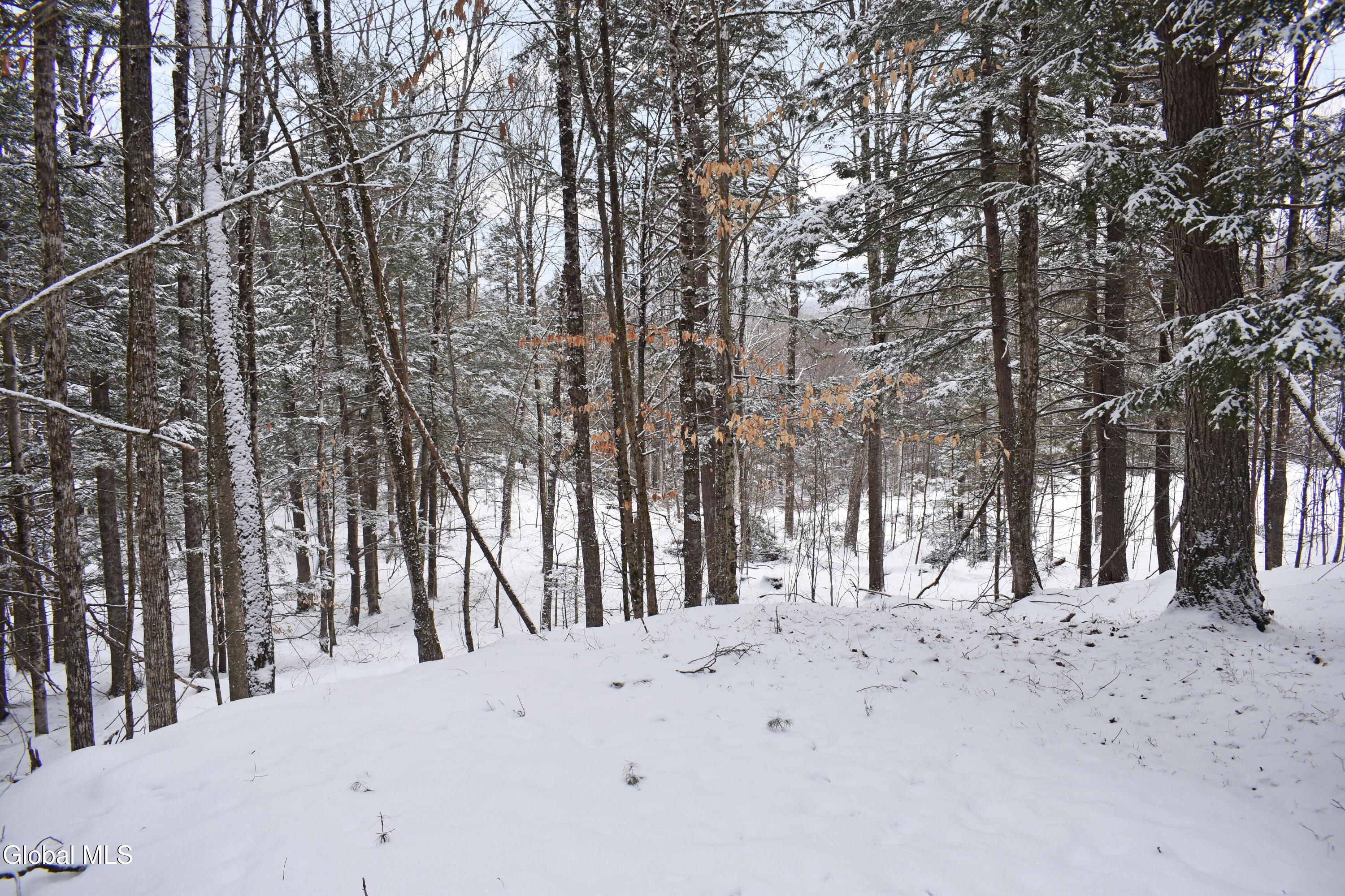 37 Carriage Knolls Road Chester, NY 12817 - Photo 10 of 25 DSC_0358