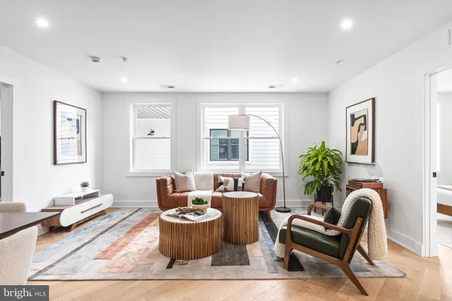 a living room with furniture potted plant and window