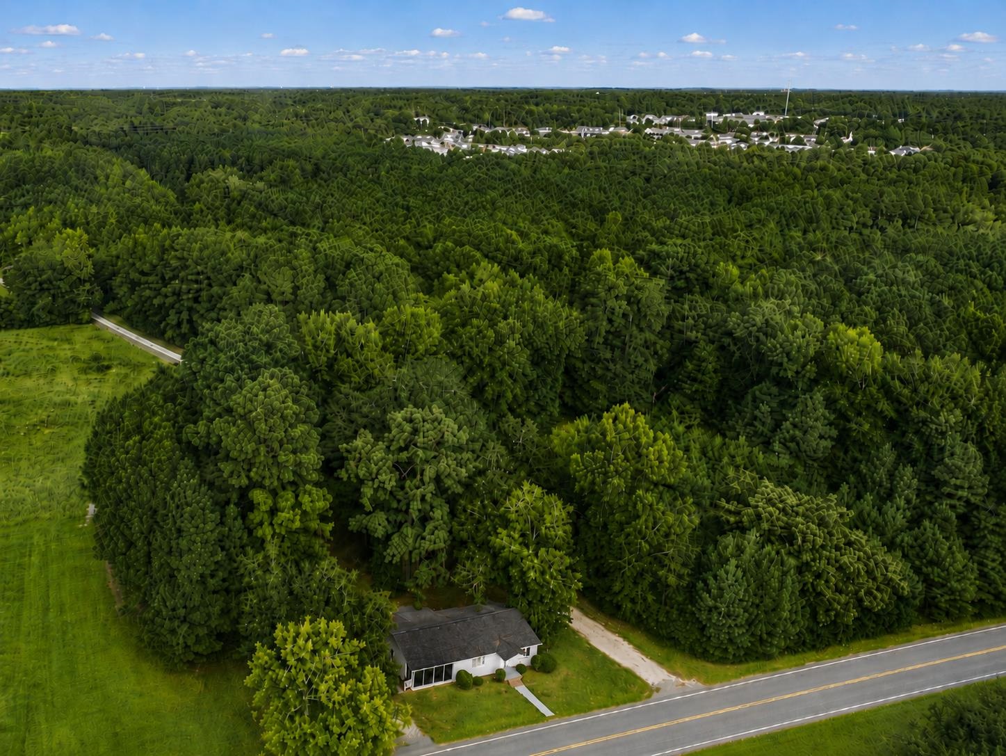 1270 Dirty Branch Road Conway, SC 29527 - Photo 24 of 25 Gallery Image 24