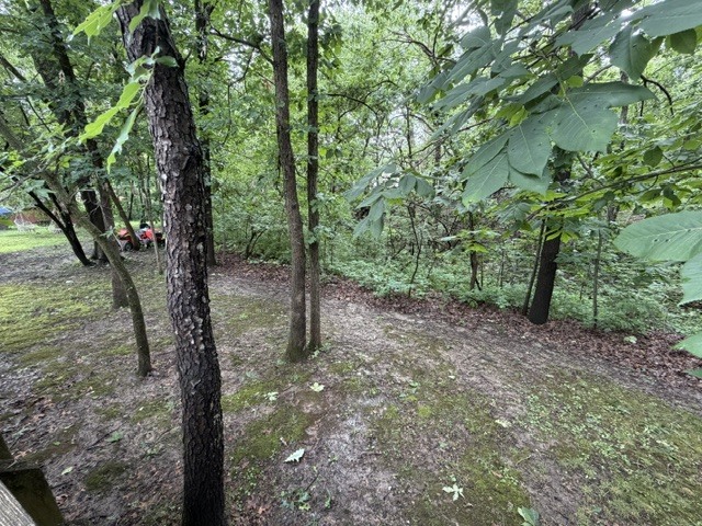 2795 East 28th Road Marseilles, IL 61341 - Photo 29 of 70