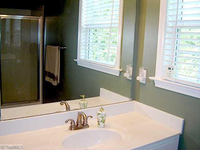 221 High Meadows Road Advance, NC 27006 - Photo 8 of 16 Master Bath/Spa.