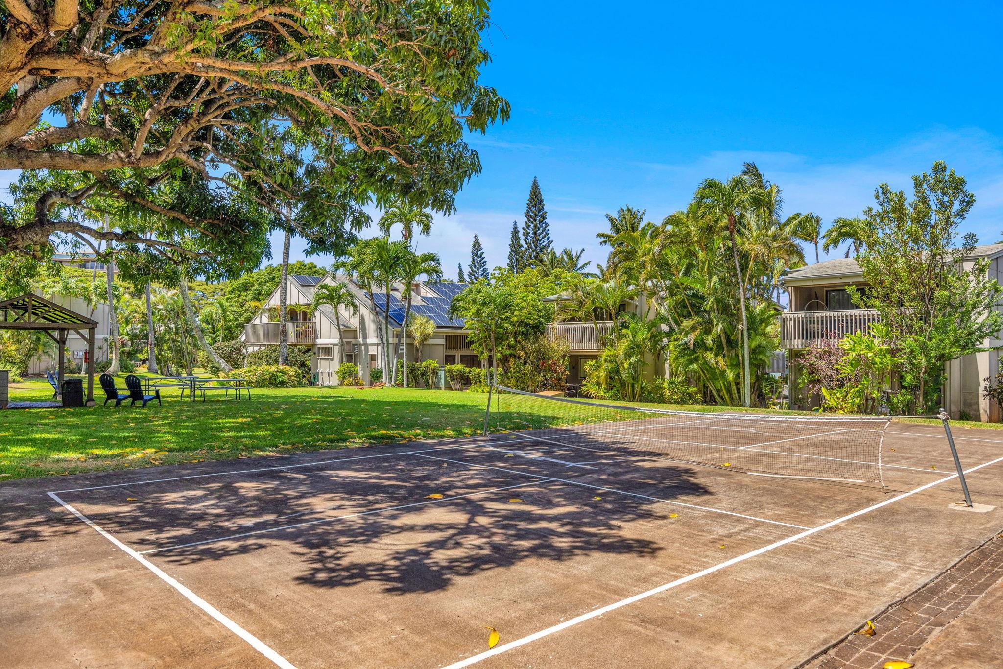 4435 Lower Honoapiilani Road, Unit 203 Lahaina, HI 96761 - Photo 32 of 32 a view of a basketball court