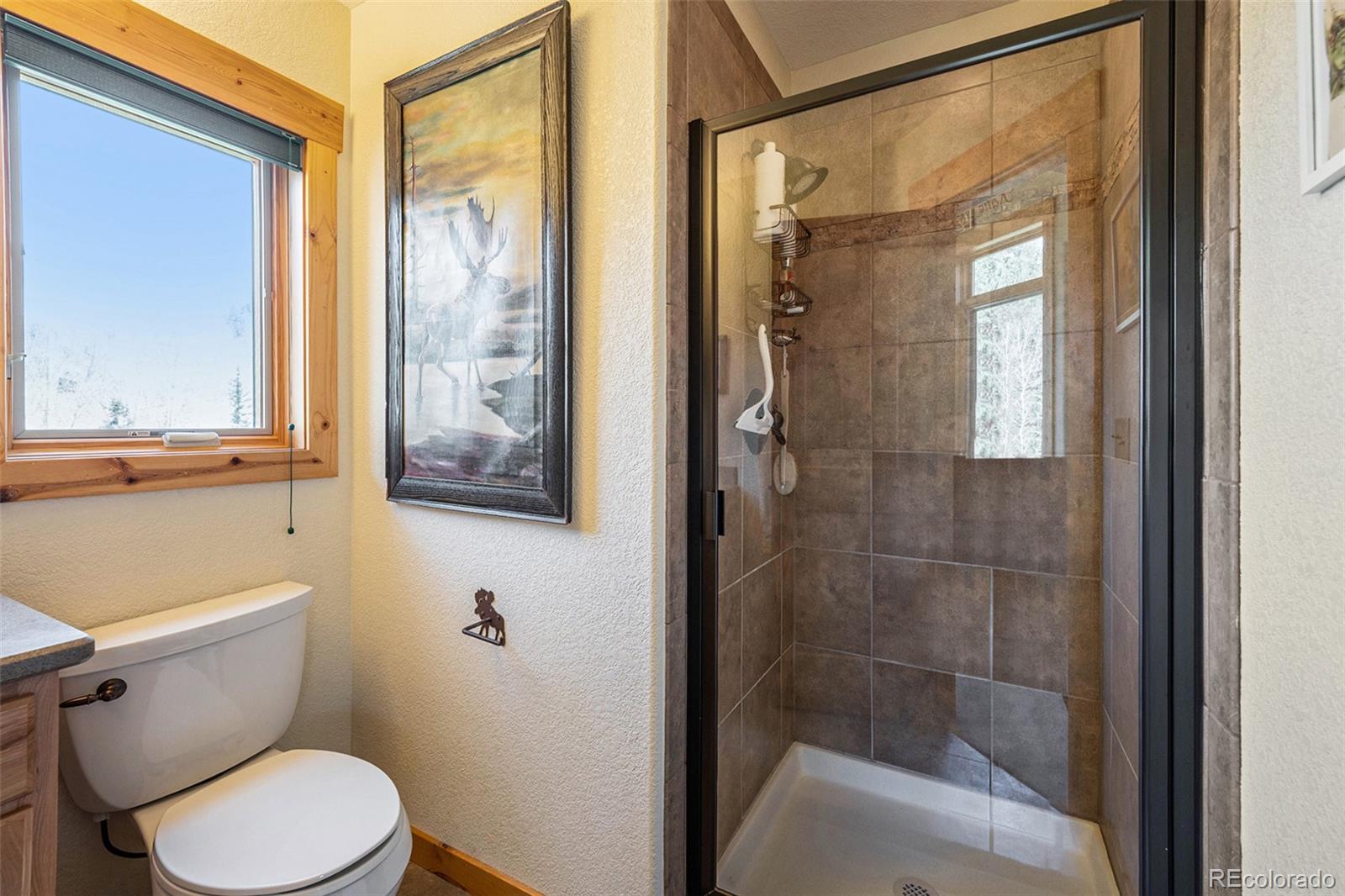 34403 Upper Bear Creek Road Evergreen, CO 80439 - Photo 24 of 44