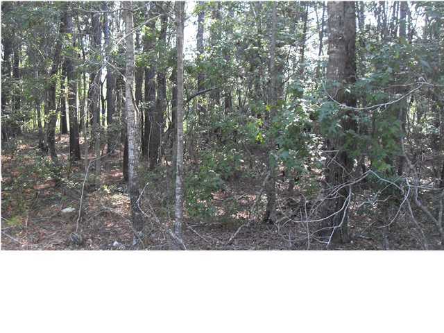 993 Theodore Road Awendaw, SC 29429 - Photo 1 of 2 Primary Photo