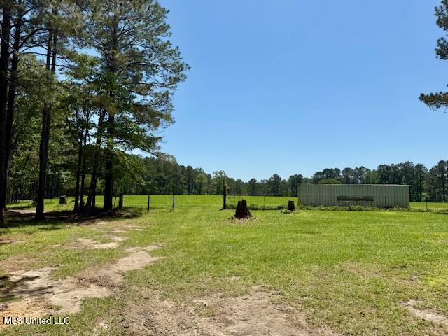 1262 Holmesville Road Jayess, MS 39641 - Photo 26 of 76 IMG_5076