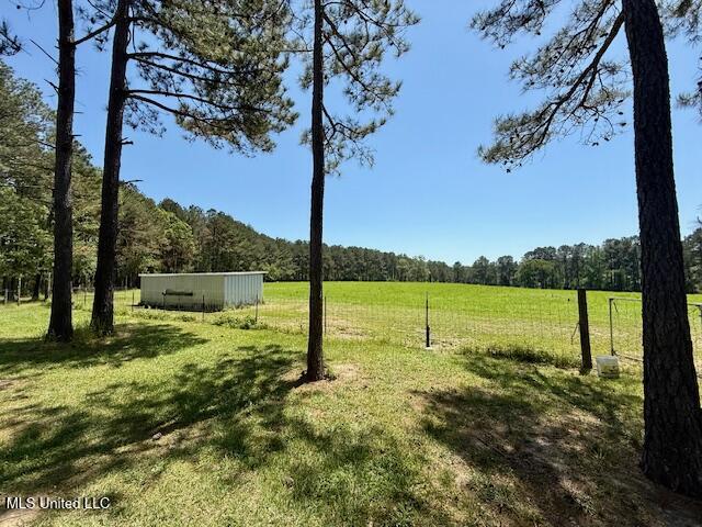 1262 Holmesville Road Jayess, MS 39641 - Photo 27 of 76 IMG_5047
