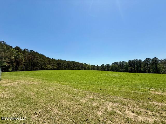 1262 Holmesville Road Jayess, MS 39641 - Photo 29 of 76 IMG_5049