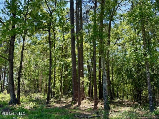 1262 Holmesville Road Jayess, MS 39641 - Photo 30 of 76 IMG_5081