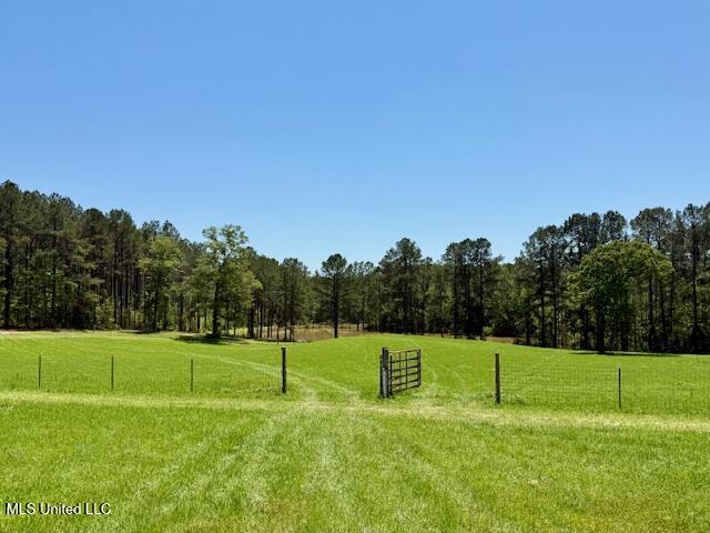 1262 Holmesville Road Jayess, MS 39641 - Photo 31 of 76 IMG_5083