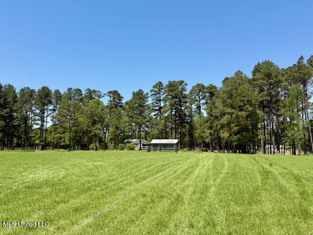 1262 Holmesville Road Jayess, MS 39641 - Photo 32 of 76 IMG_5084