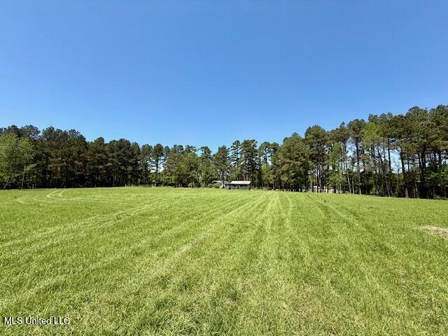 1262 Holmesville Road Jayess, MS 39641 - Photo 33 of 76 IMG_5085
