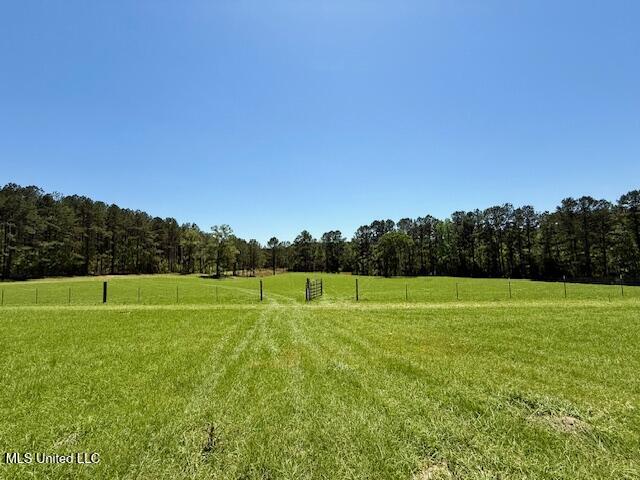 1262 Holmesville Road Jayess, MS 39641 - Photo 34 of 76 IMG_5086