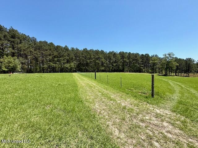 1262 Holmesville Road Jayess, MS 39641 - Photo 35 of 76 IMG_5087