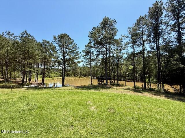 1262 Holmesville Road Jayess, MS 39641 - Photo 36 of 76 IMG_5088