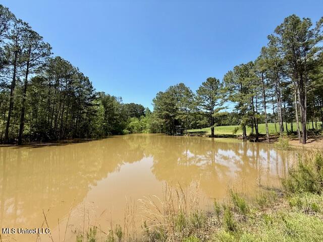 1262 Holmesville Road Jayess, MS 39641 - Photo 44 of 76 IMG_5099