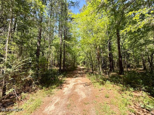1262 Holmesville Road Jayess, MS 39641 - Photo 50 of 76 IMG_5107