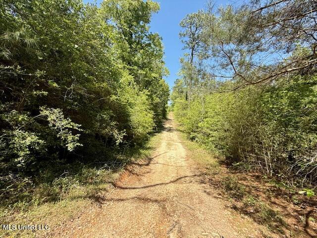 1262 Holmesville Road Jayess, MS 39641 - Photo 54 of 76 IMG_5115