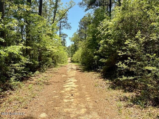 1262 Holmesville Road Jayess, MS 39641 - Photo 55 of 76 IMG_5116