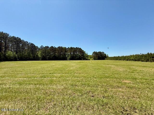 1262 Holmesville Road Jayess, MS 39641 - Photo 56 of 76 IMG_5117