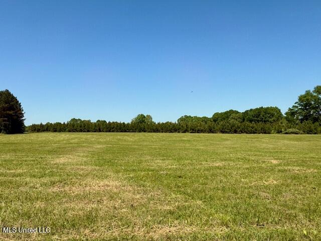 1262 Holmesville Road Jayess, MS 39641 - Photo 57 of 76 IMG_5119
