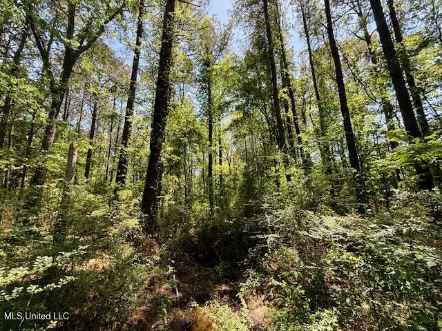 1262 Holmesville Road Jayess, MS 39641 - Photo 58 of 76 IMG_5120