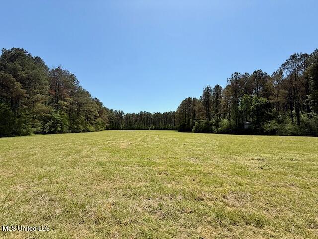 1262 Holmesville Road Jayess, MS 39641 - Photo 60 of 76 IMG_5122