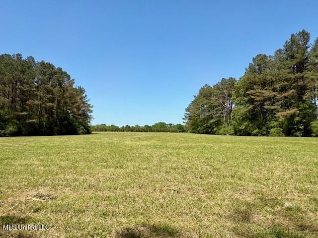 1262 Holmesville Road Jayess, MS 39641 - Photo 62 of 76 IMG_5125
