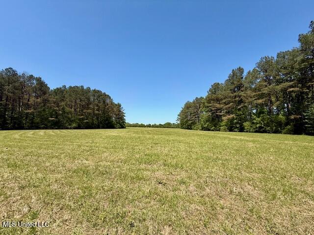 1262 Holmesville Road Jayess, MS 39641 - Photo 63 of 76 IMG_5127