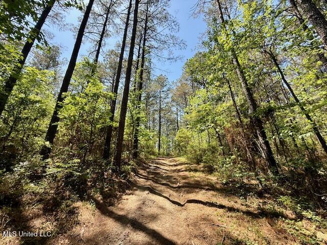 1262 Holmesville Road Jayess, MS 39641 - Photo 66 of 76 IMG_5132