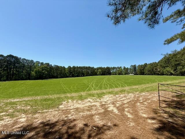 1262 Holmesville Road Jayess, MS 39641 - Photo 67 of 76 IMG_5133
