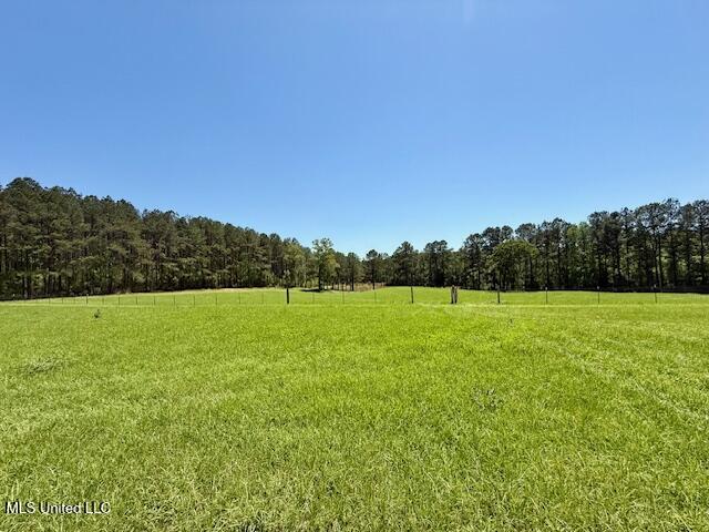 1262 Holmesville Road Jayess, MS 39641 - Photo 68 of 76 IMG_5136